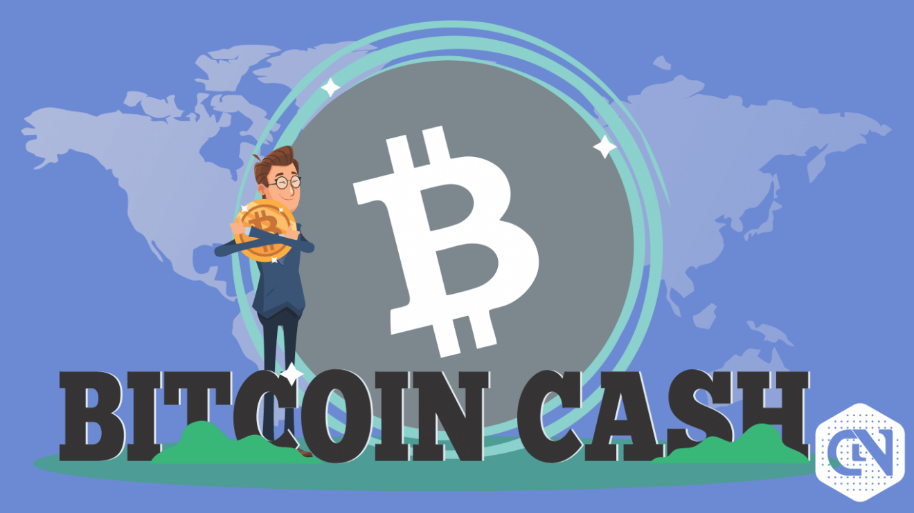 Bitcoin Cash Price Analysis Bch Predictions News And Chart May 24 - 