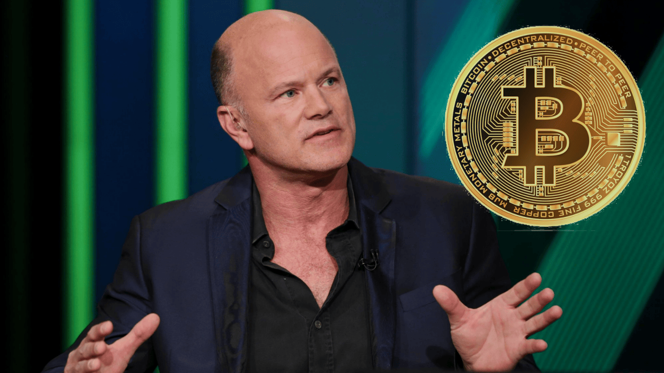 Bitcoin Will Be Stabilized Between $10,000 - $14,000, Says Mike Novogratz