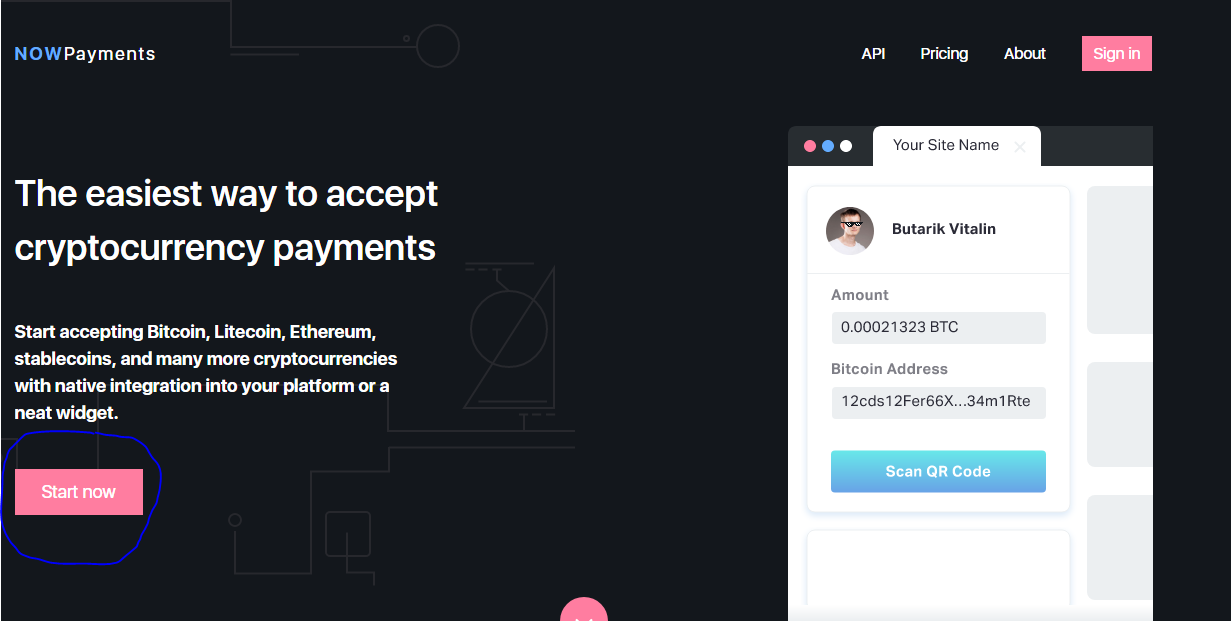NowPayments - Start Now 