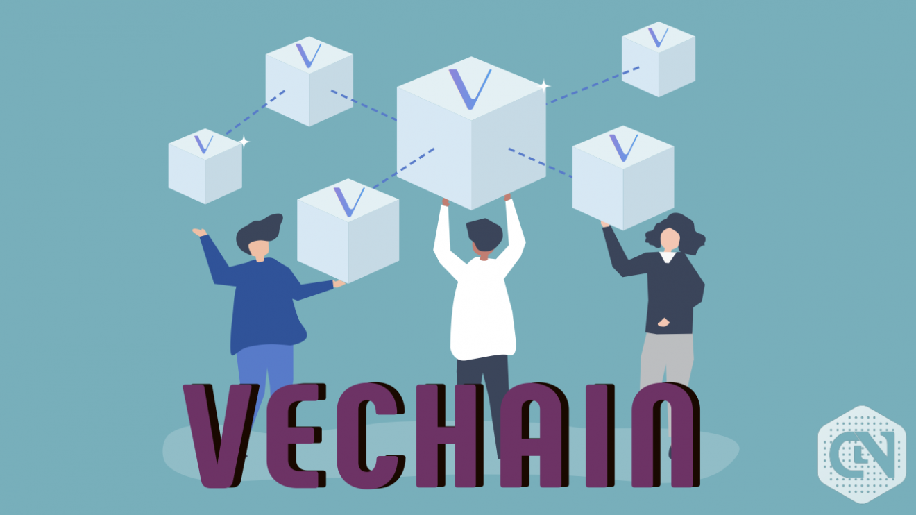 VECHAIN News