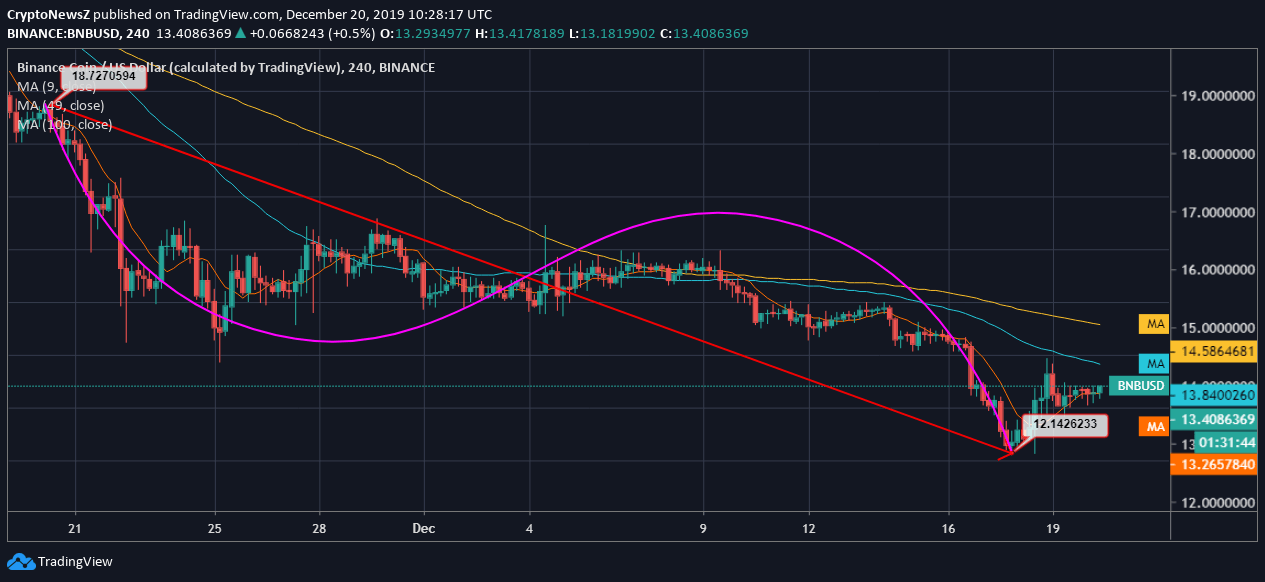 BNB Coin Exhibits Slight Growth Despite The Month-long Bearish Run