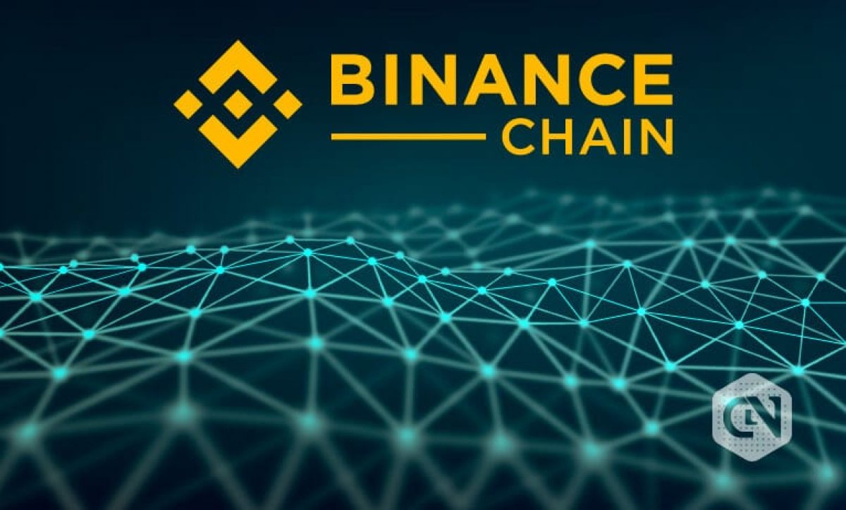 Binance Coin Loses $1.5B in Market Cap, BNB Price Down by 8%