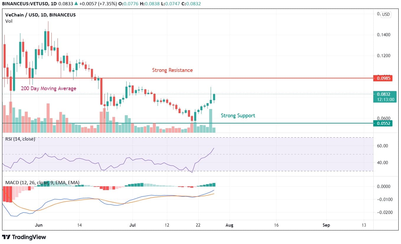 VET Price Analysis