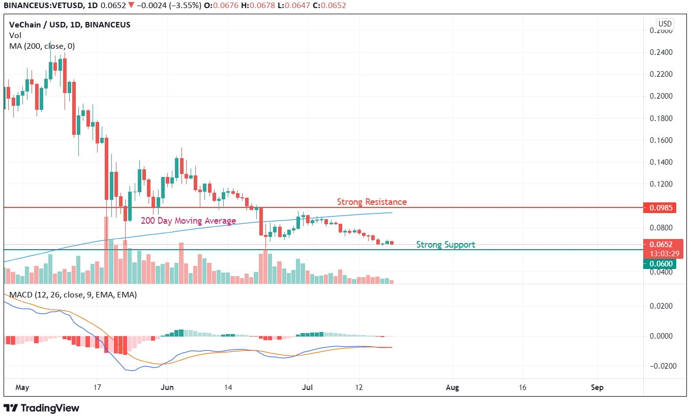 VeChain Price Analysis