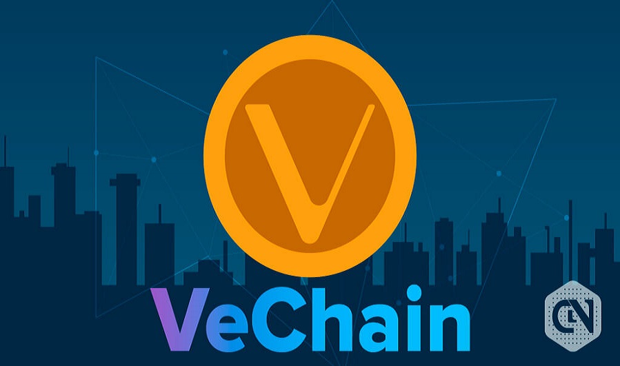 VeChain Undervalued! Is There Scope for Some More Corrections?