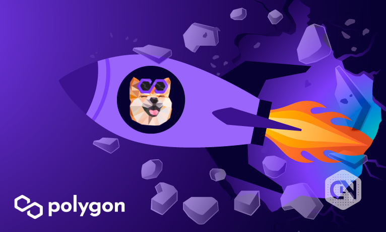 Polygon Adopts NFT-Established PolyBabyDoge for Meme Grants