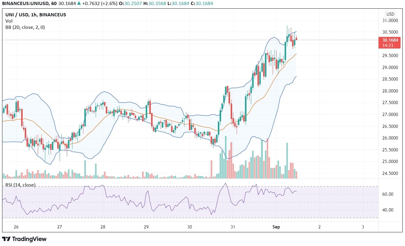 Uniswap Price Analysis Chart