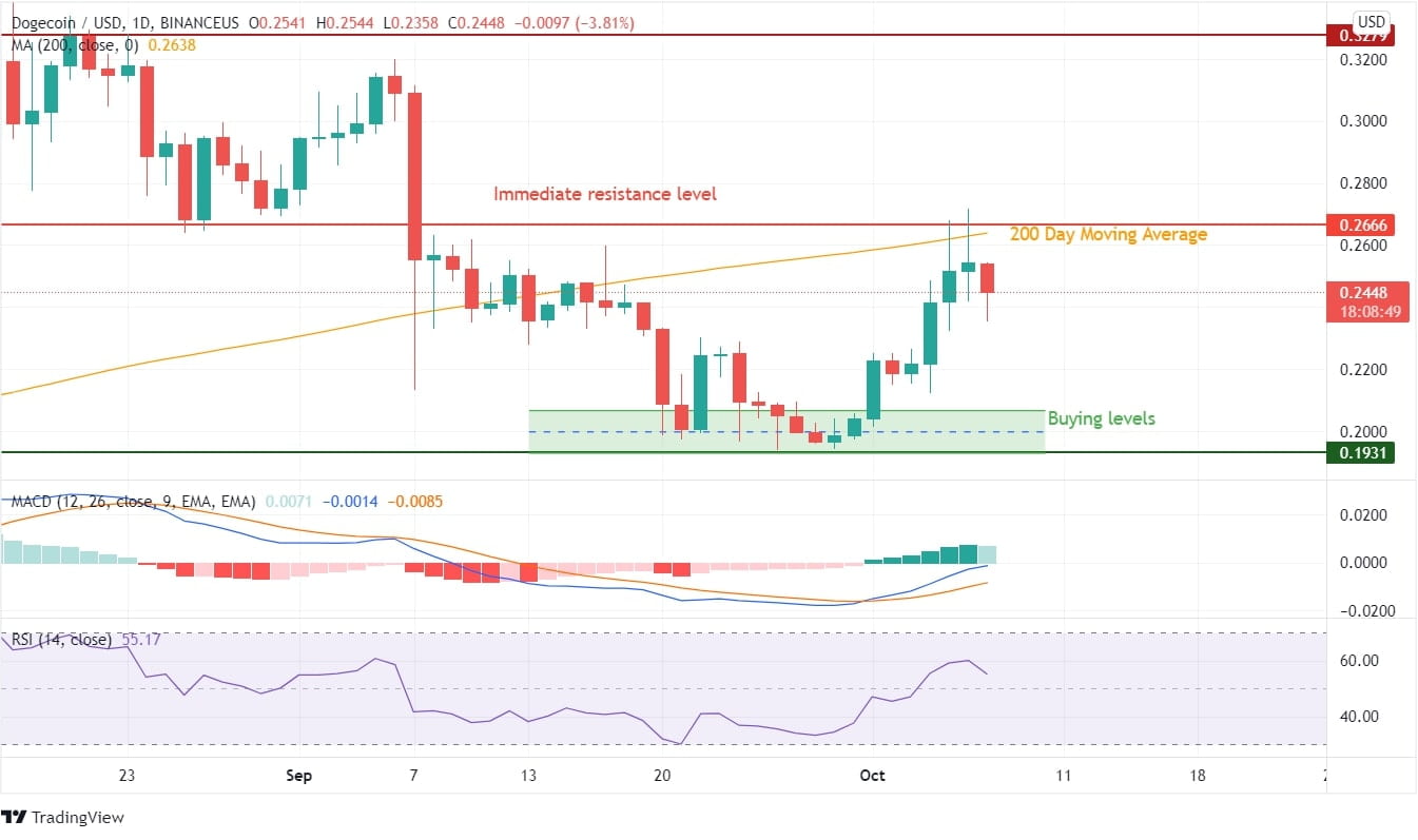 Dogecoin Price Analysis