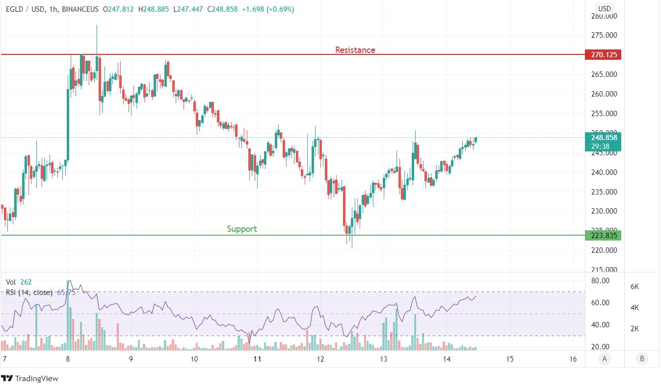 EGLD price prediction