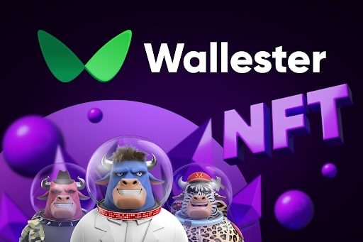 Wallester Makes an Investment in the NFT Industry