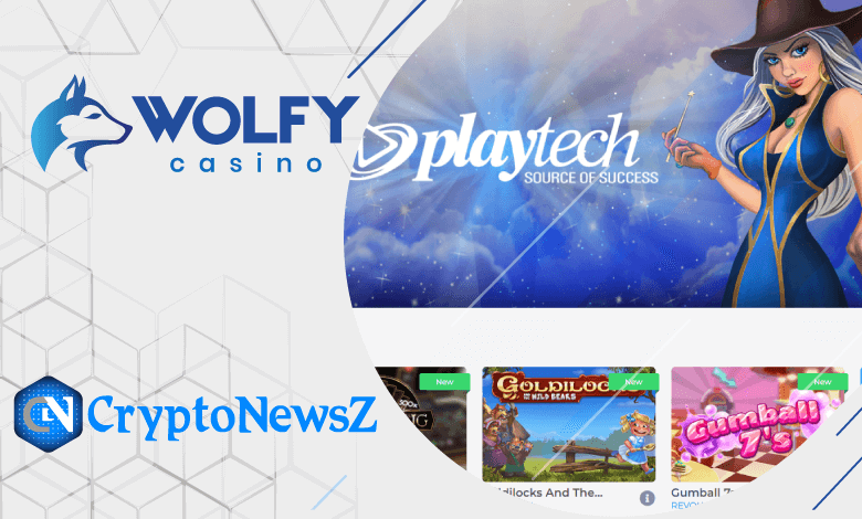 Wolfy Casino Review