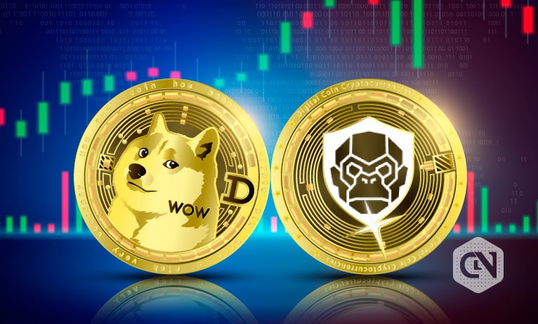 Guide to Meme Token Blockchains and Protocols in 2022 RoboApe (RBA) and Dogecoin (DOGE)