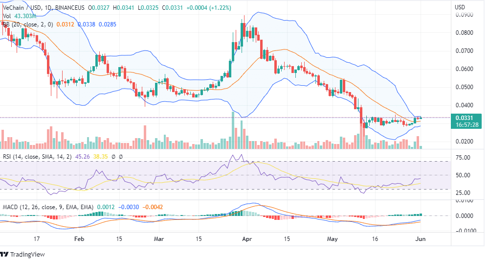 VET Price Analysis