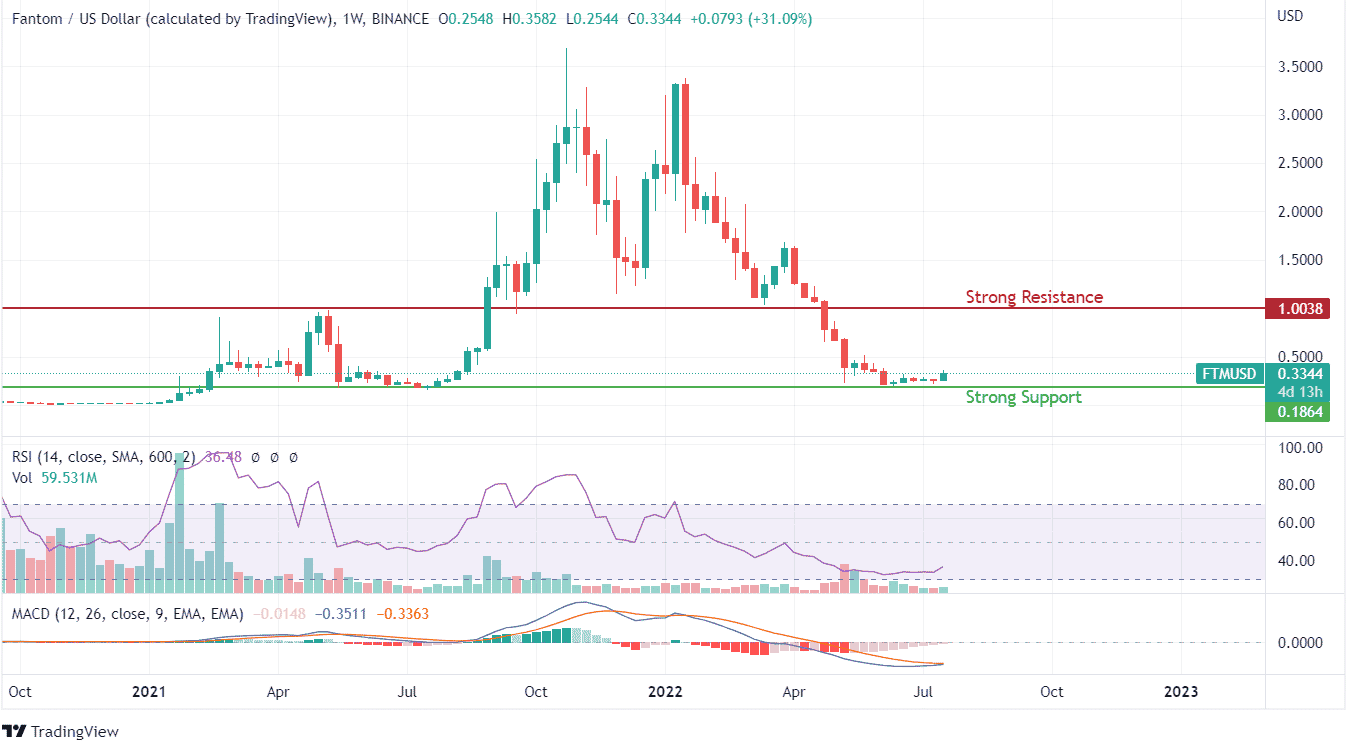 FTM Price Analysis