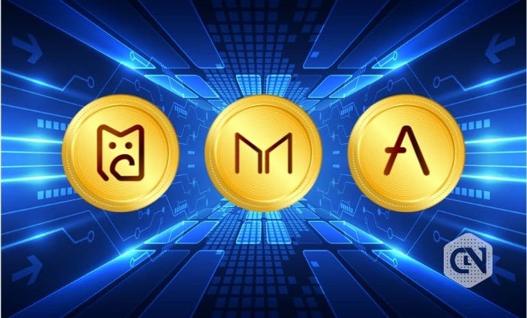 Mehracki, Aave, & Maker Coins That Will Protect You from Crypto Winter 2022