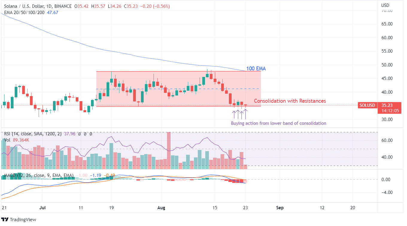 SOL PRICE CHART