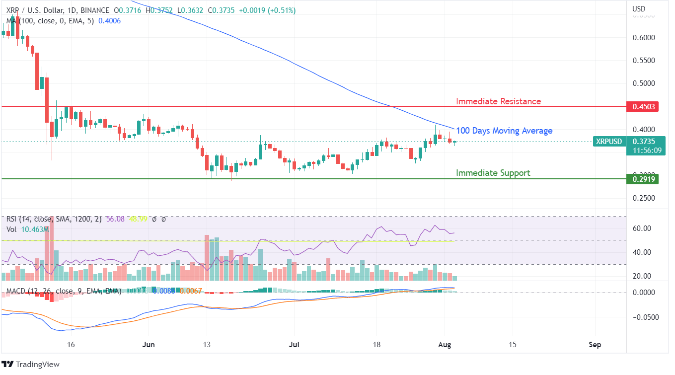 XRP Price Prediction