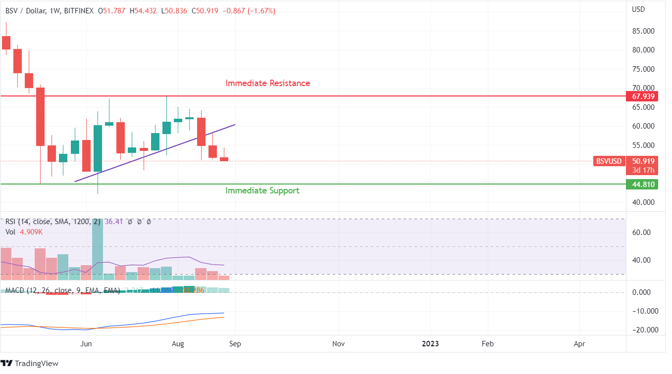 BSV PRICE ANALYSIS