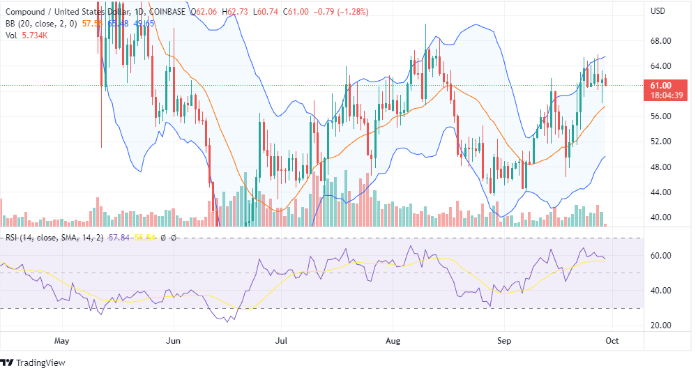 Compound (comp) Recovery Looks Strong For A Bull Run!