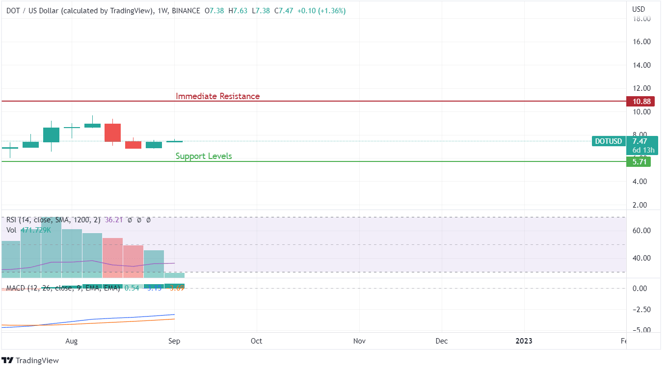 DOT Price Analysis