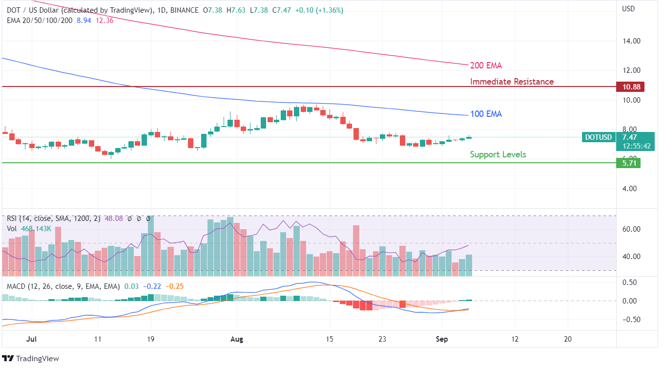 DOT Price Chart