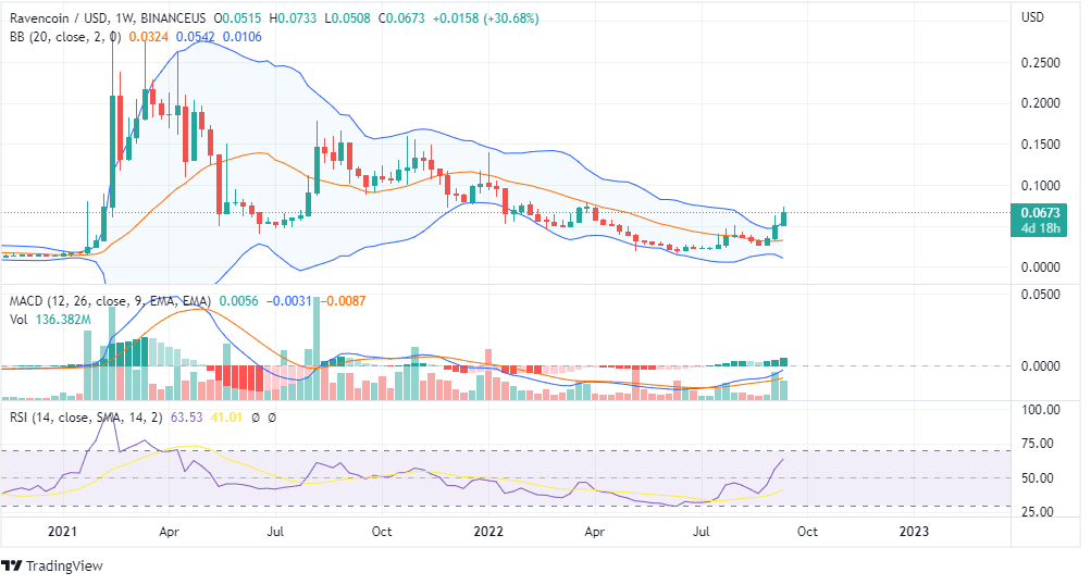 RVN PRICE ANALYSIS