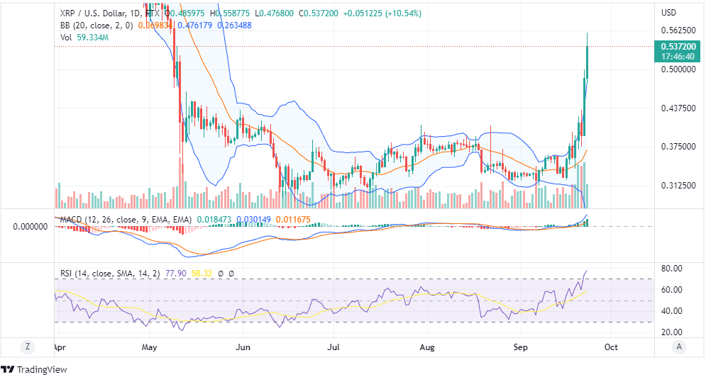 XRP CHART