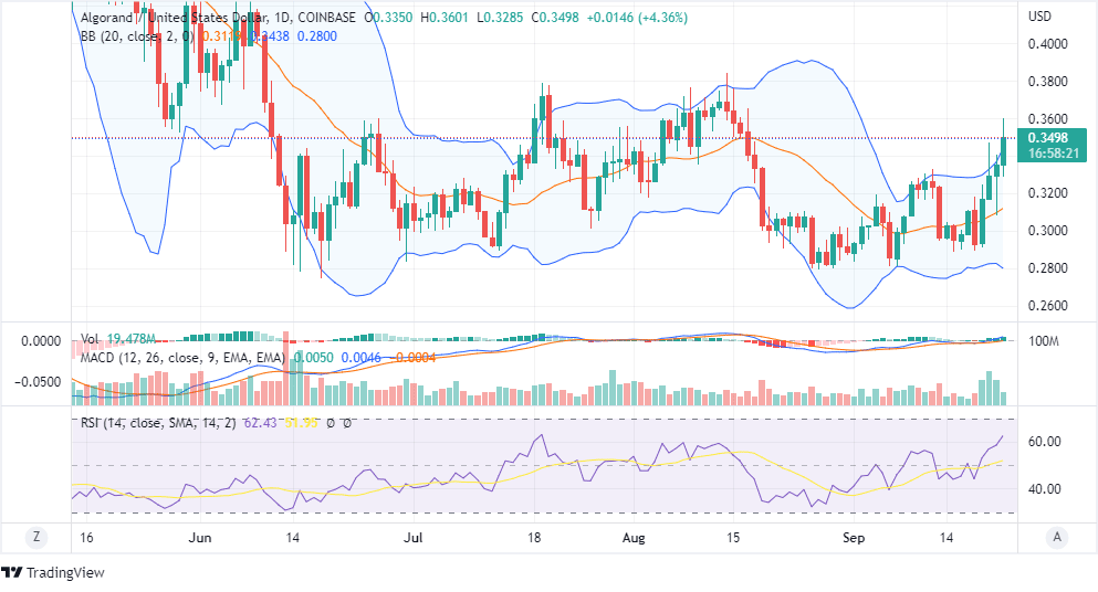 algorand price chart - daily