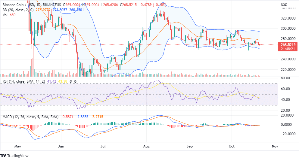 BNB Price Consolidates: What Should You Do Now?