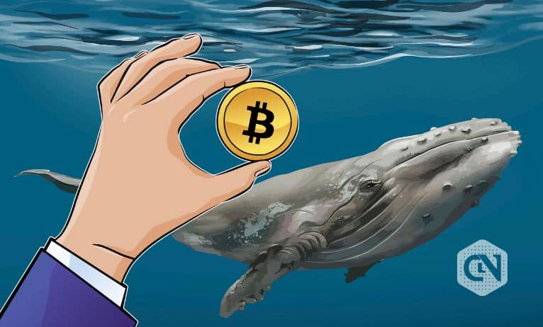 Whales' fluctuating interest pushes crypto into a state of flux