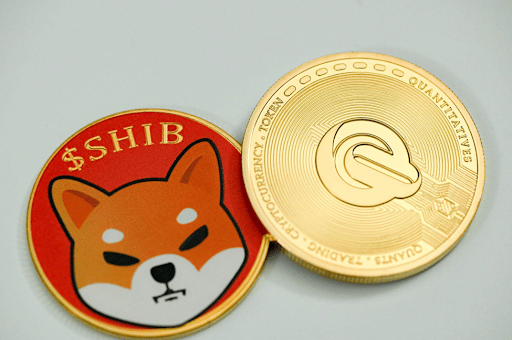 Building a Community-Owned Project with Shiba Inu (SHIB)