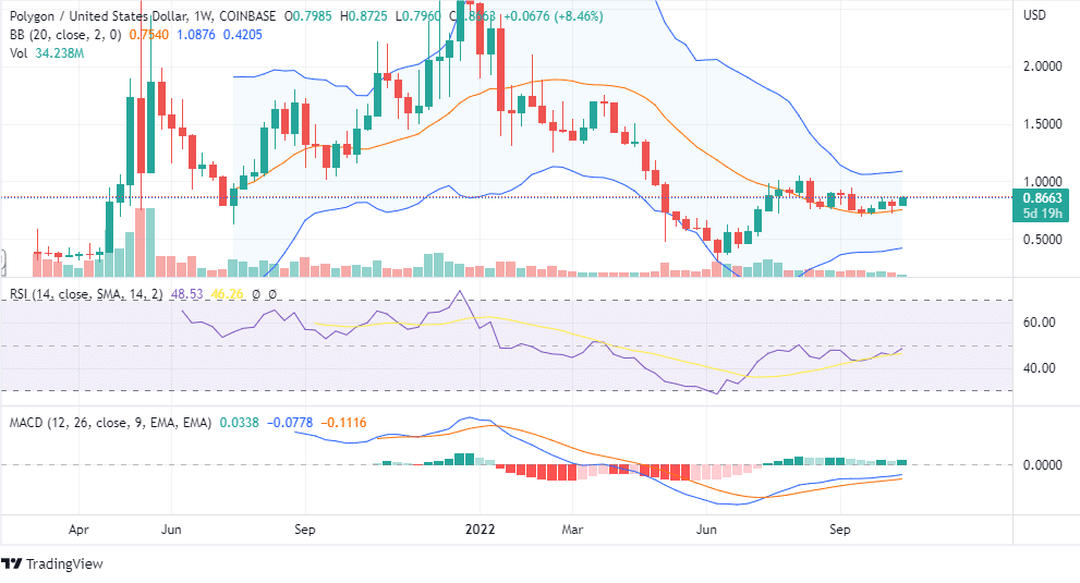 Polygon weekly chart