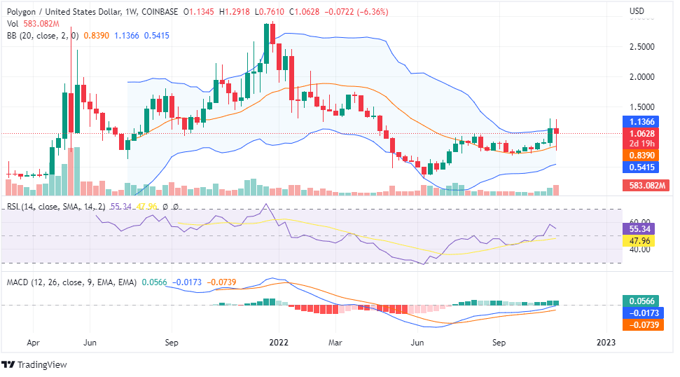 Polygon price analysis