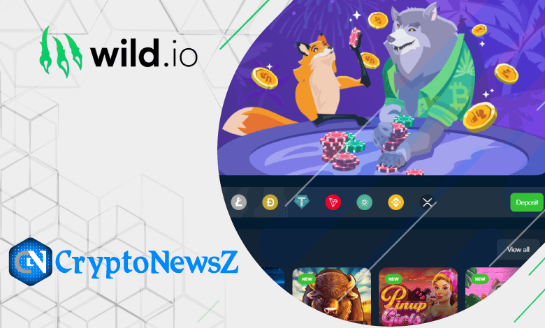 Wild.io Casino Review