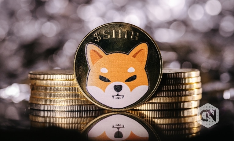 Shiba Inu price outlook From surges to sustained growth