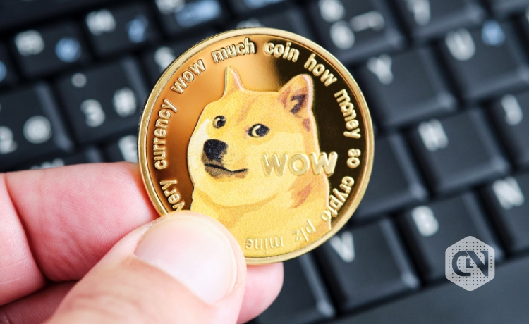 A Deep Dive into Dogecoin: What Can You Expect in Terms of Risks and Rewards