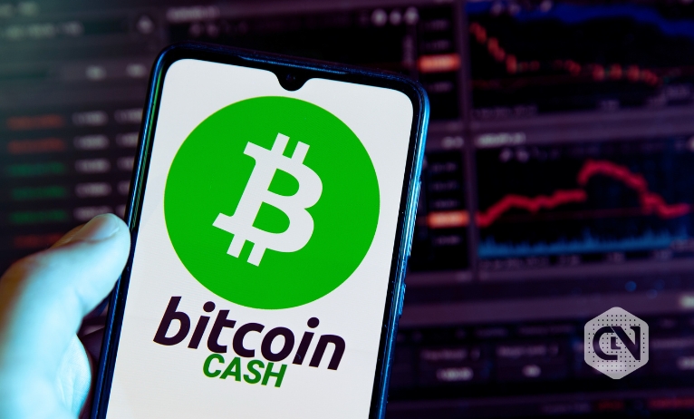 Bitcoin Cash and financial inclusion Bridging the gap