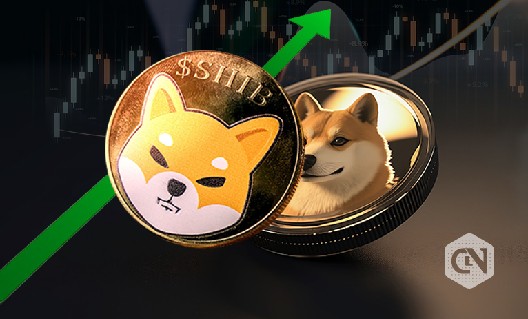 Shiba Inu and Dogecoin race to the top in market cap