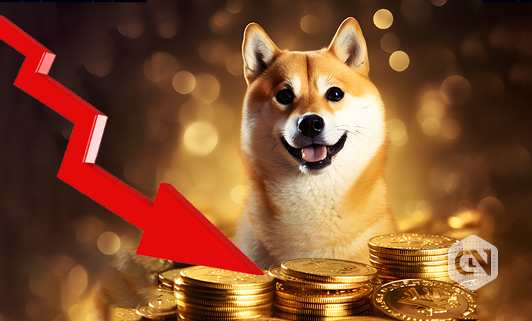 Shibarium Sees Transactions Plunge 99% Challenges Ahead for Shiba Inu's Layer 2