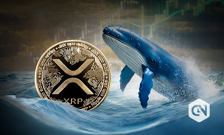 XRP’s resilience test Lawsuit, whales, and can it adapt