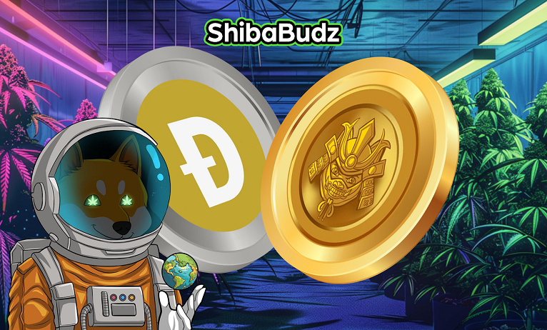 Tips to Dogecoin investments & similar DOGE-like cryptos