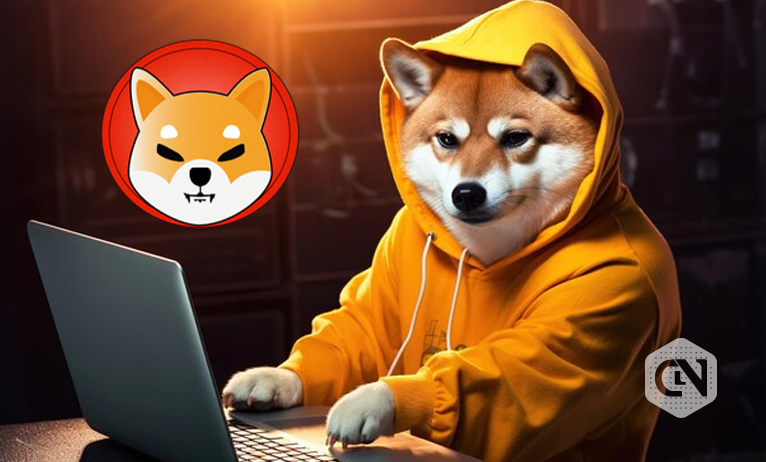 Shiba Inu (SHIB) Faces Setback as Shibarium Transactions Plunge