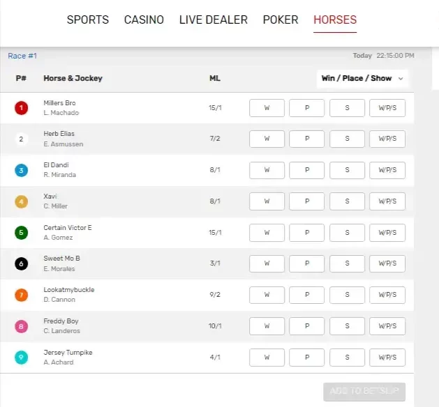 Bet on Horse Races 