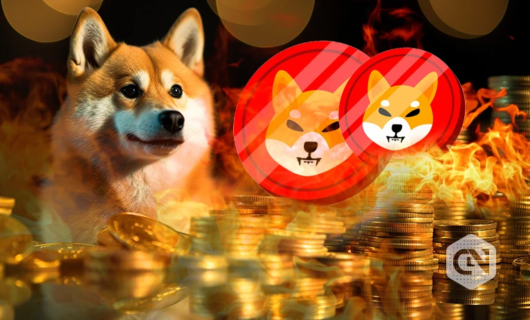 Burn rate of Shiba Inu (SHIB) soars to more than 3000%