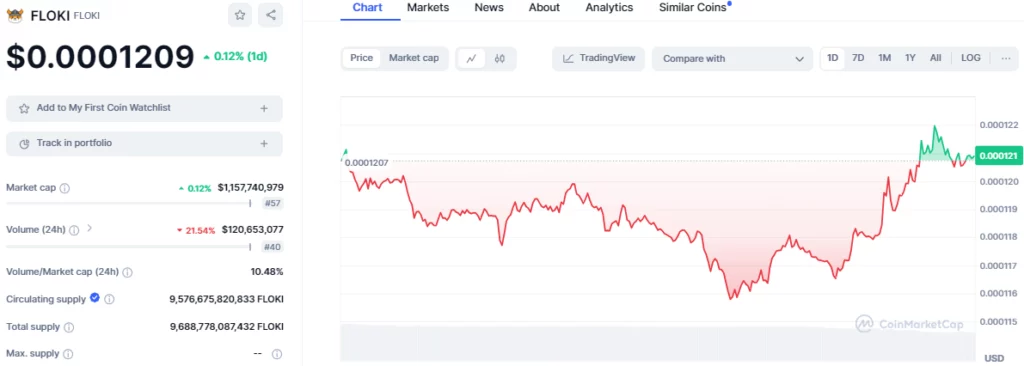 FLOKI/USD 1-Day Chart (Source: CoinMarketCap)