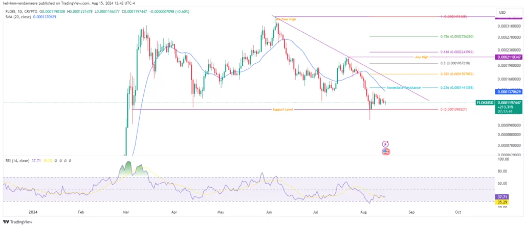 FLOKI/USD 1-Day Chart (Source: TradingView)