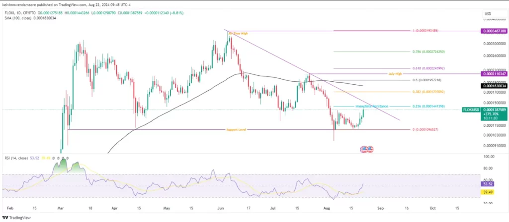 FLOKI/USD 1-Day Chart (Source: TradingView)