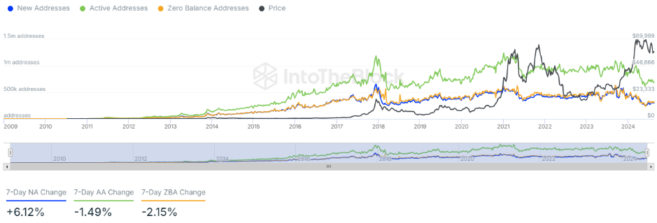 BTC Daily Active Addresses (Source: IntoTheBlock)