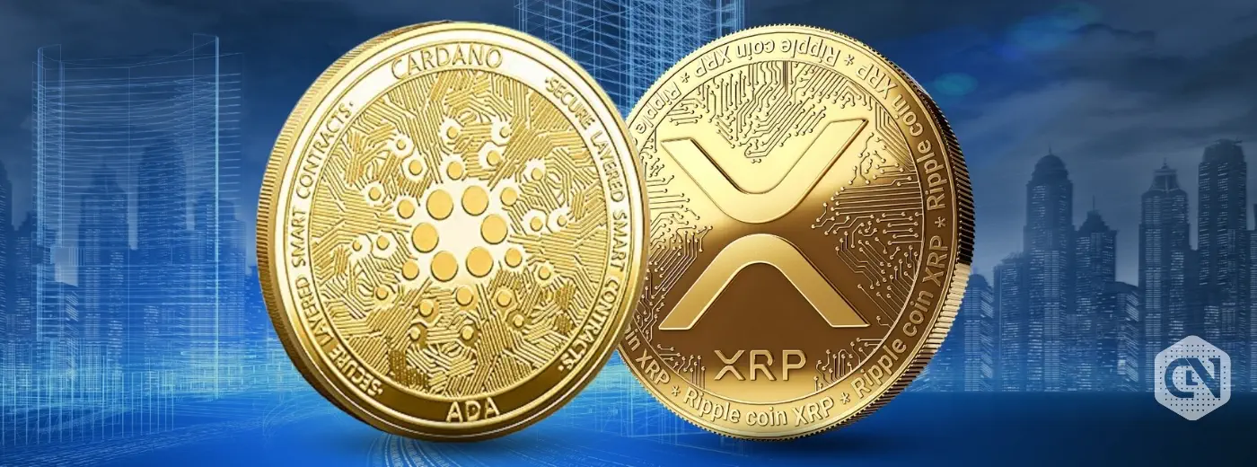 Cardano and XRP Traders Receive Critical Alert, Smart Money Takes Action