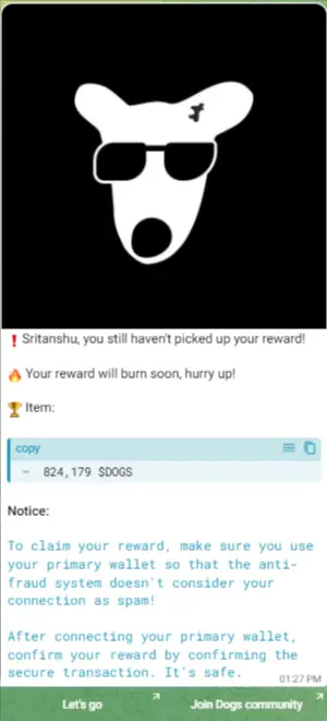 New DOGS scam on Telegram